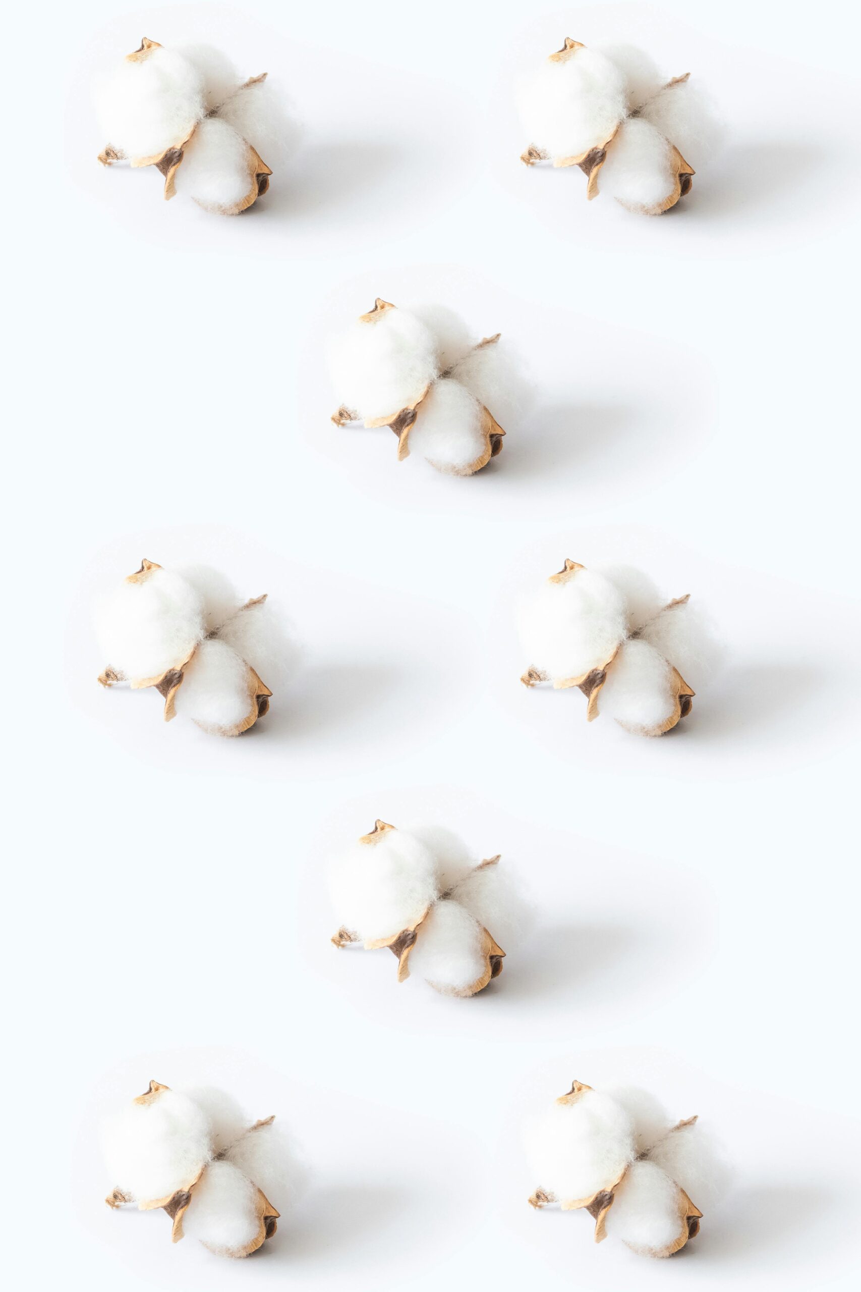 Close-Up Shot of Cotton Flowers on White Surface